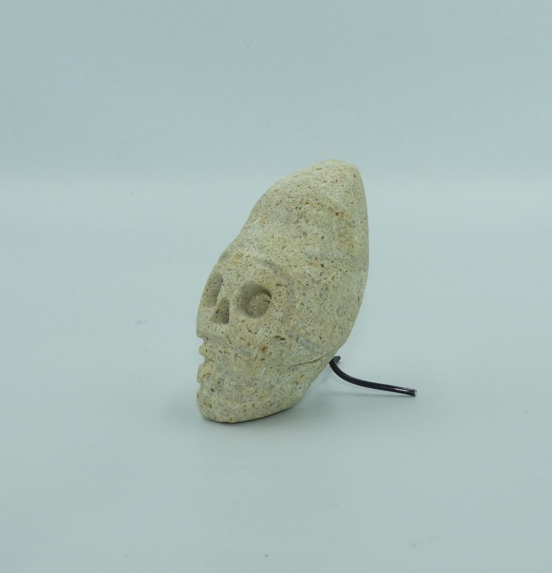 Reproducción Cráneo Paraca pequeño en Roca de Albero