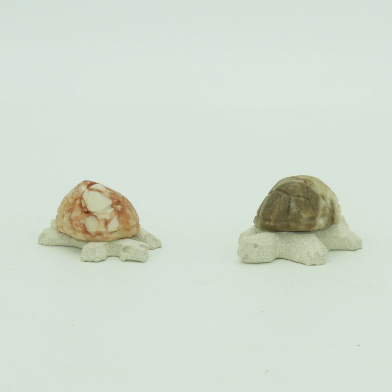 Esculturas de Tortugas de Piedra Natural, Mármol y Arenisca. Ideal para decorar cualquier rinconcito de casa