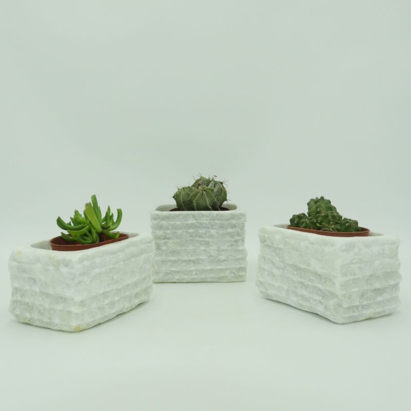 Conjunto de 3 Macetas de Piedra Natural
