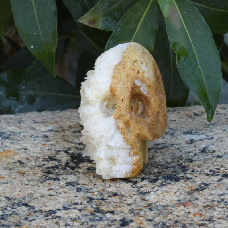 Escultura de Calavera de Roca de Albero de Sevilla Cristalizada.